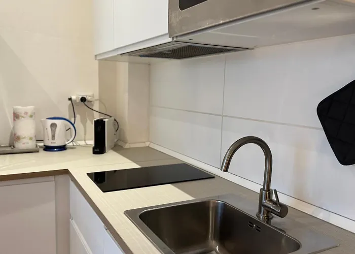 Monolocale Per 2 Nel Centro Di - Aurea ! *